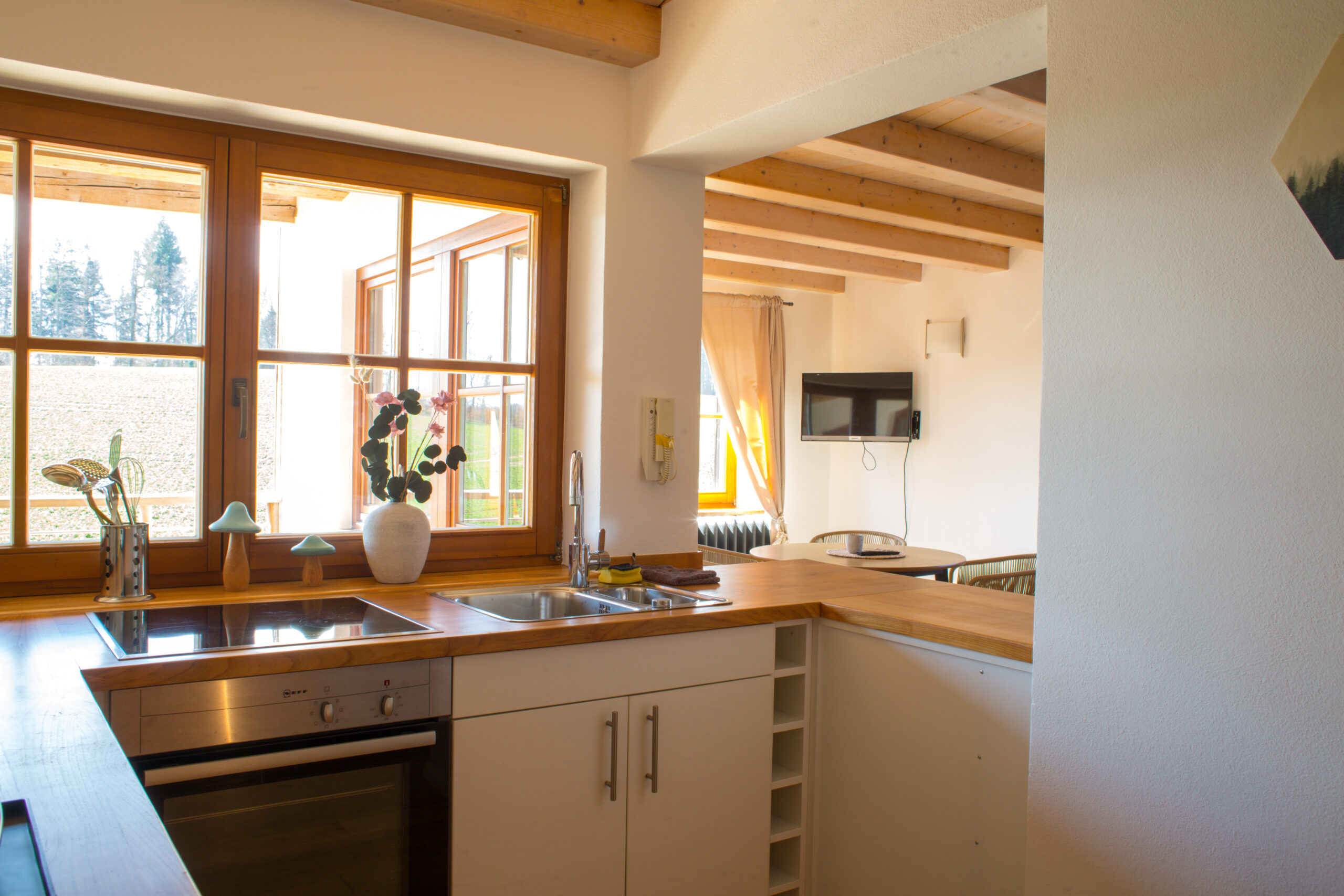 Ferienwohnung Nr.1 die Buche - Küche